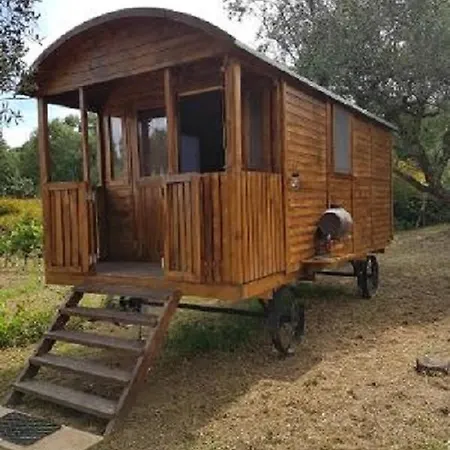 Quinta Portugo * Cernache do Bonjardim